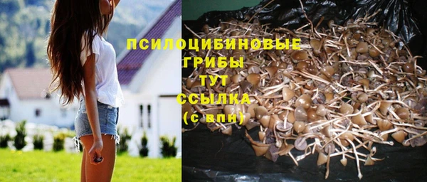дживик Липки