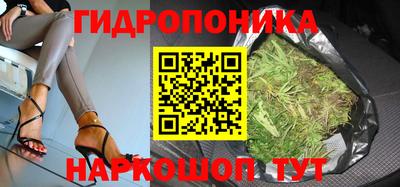 альфа пвп Берёзовский