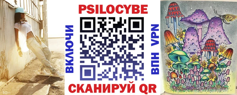 Псилоцибиновые грибы Psilocybe  Лыткарино 