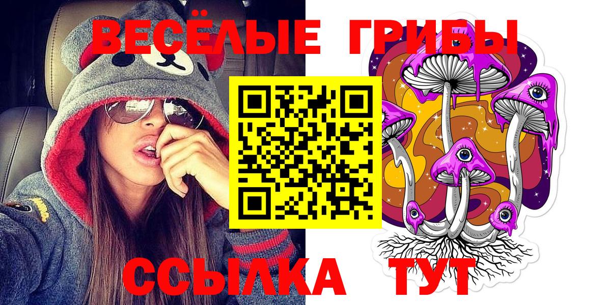 Лыткарино  Галлюциногенные грибы GOLDEN TEACHER  Вход с VPN 