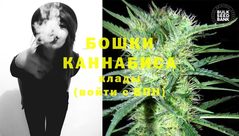 как найти наркотики  Лыткарино  Шишки марихуана OG Kush 